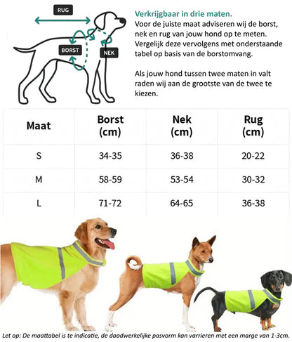Gele Hondenhesje - Niet Aaien