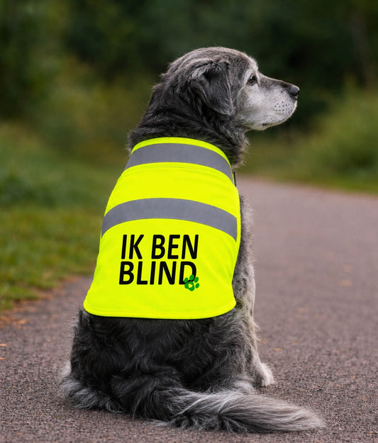 Gele Hondenhesje - Ik ben blind