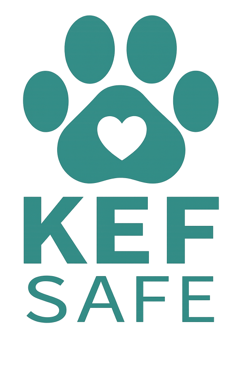 KEFSafe