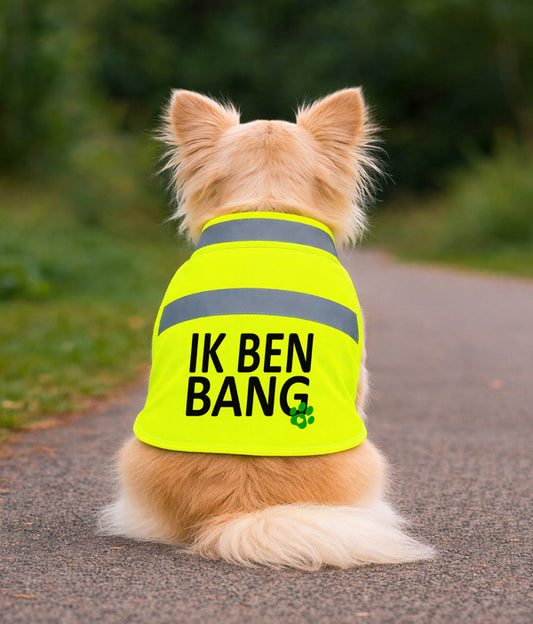 Gele Hondenhesje - Ik ben bang