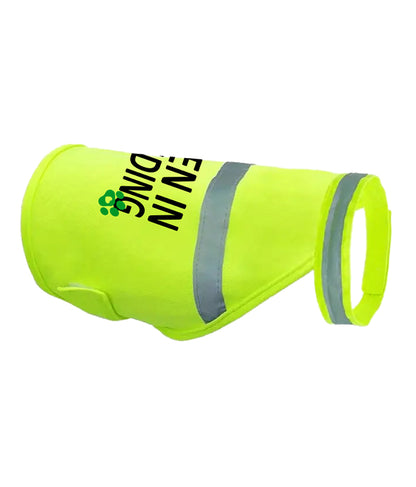 Gele Hondenhesje - Ik ben in opleiding