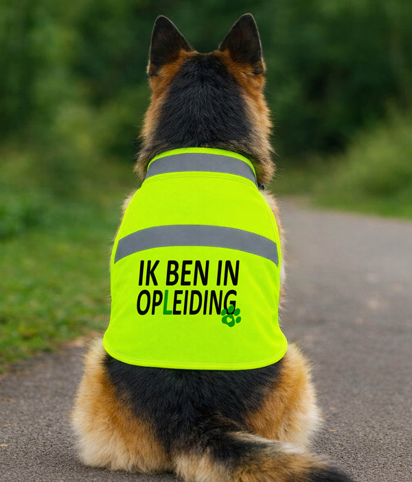 Gele Hondenhesje - Ik ben in opleiding
