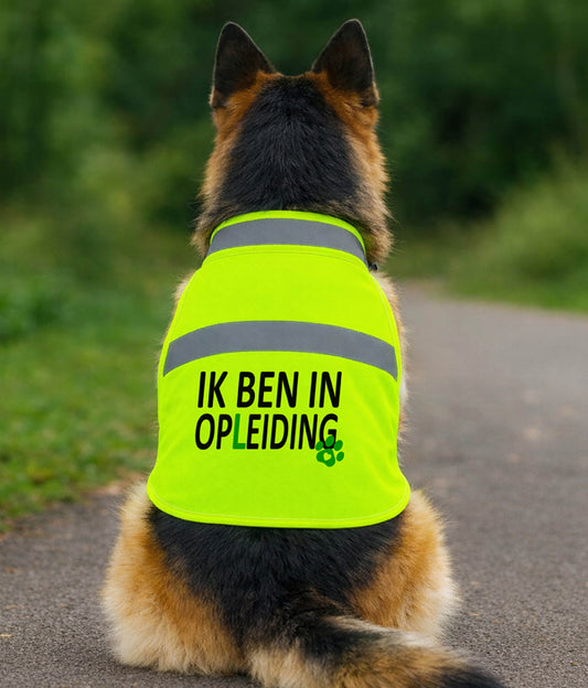 Gele Hondenhesje - Ik ben in opleiding