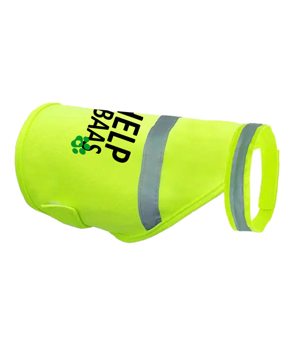 Gele Hondenhesje - Ik help mijn baas