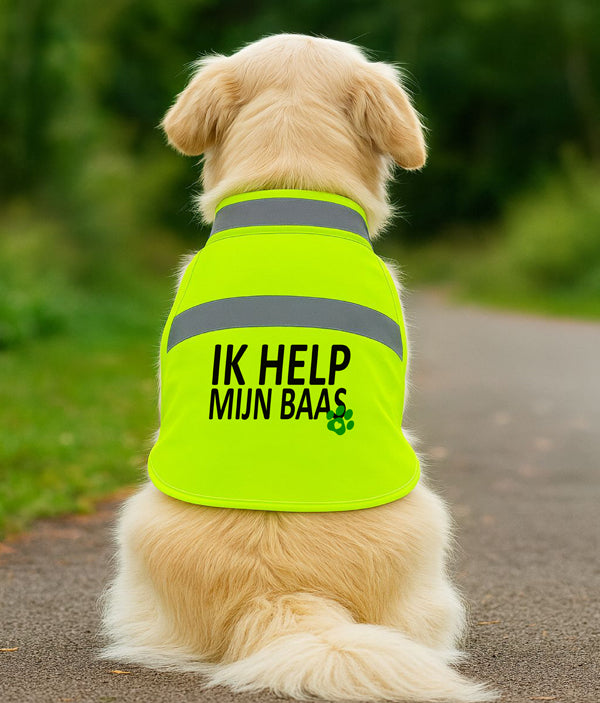 Gele Hondenhesje - Ik help mijn baas