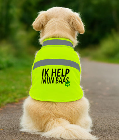 Gele Hondenhesje - Ik help mijn baas
