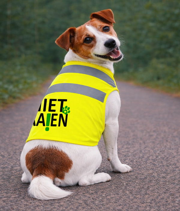 Gele Hondenhesje - Niet Aaien