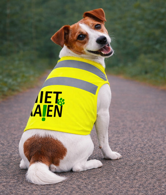 Gele Hondenhesje - Niet Aaien