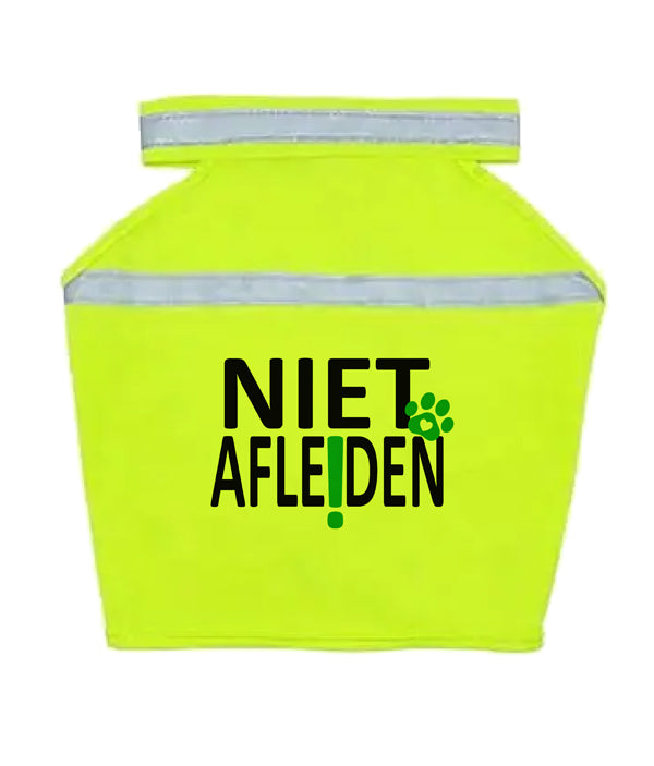 Gele Hondenhesje - Niet Afleiden