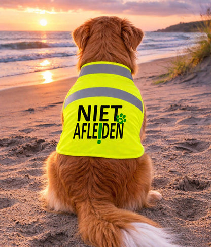 Gele Hondenhesje - Niet Afleiden