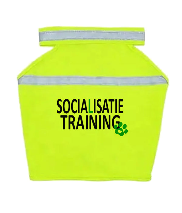 Gele Hondenhesje - Socialisatie training
