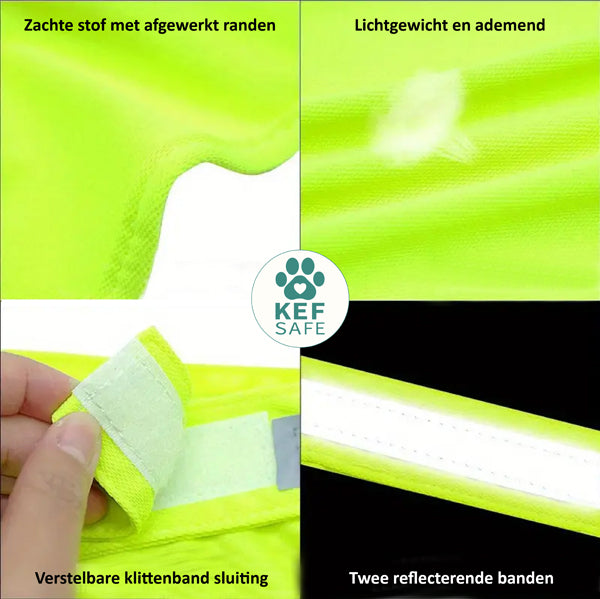 Gele Hondenhesje - Niet Aaien