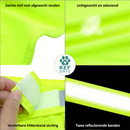 Gele Hondenhesje - Niet Aaien