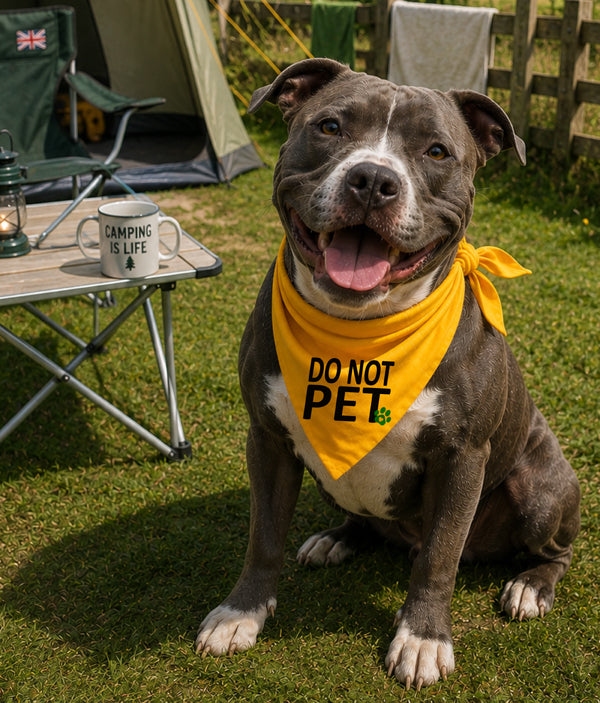 Gele honden bandana - Niet aaien