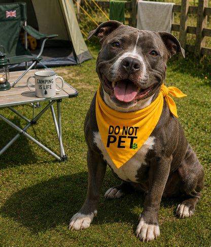 Gele honden bandana - Niet aaien