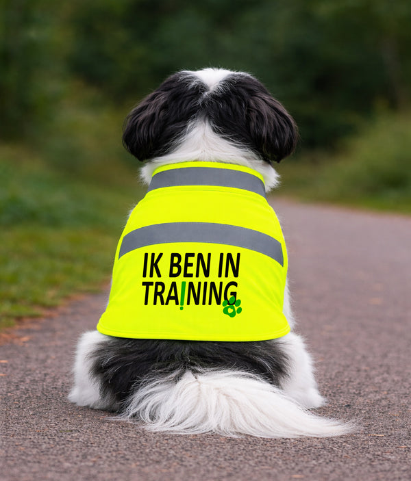 Gelbe Hundeweste - Nicht streicheln