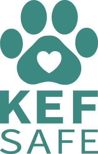 KEFSafe