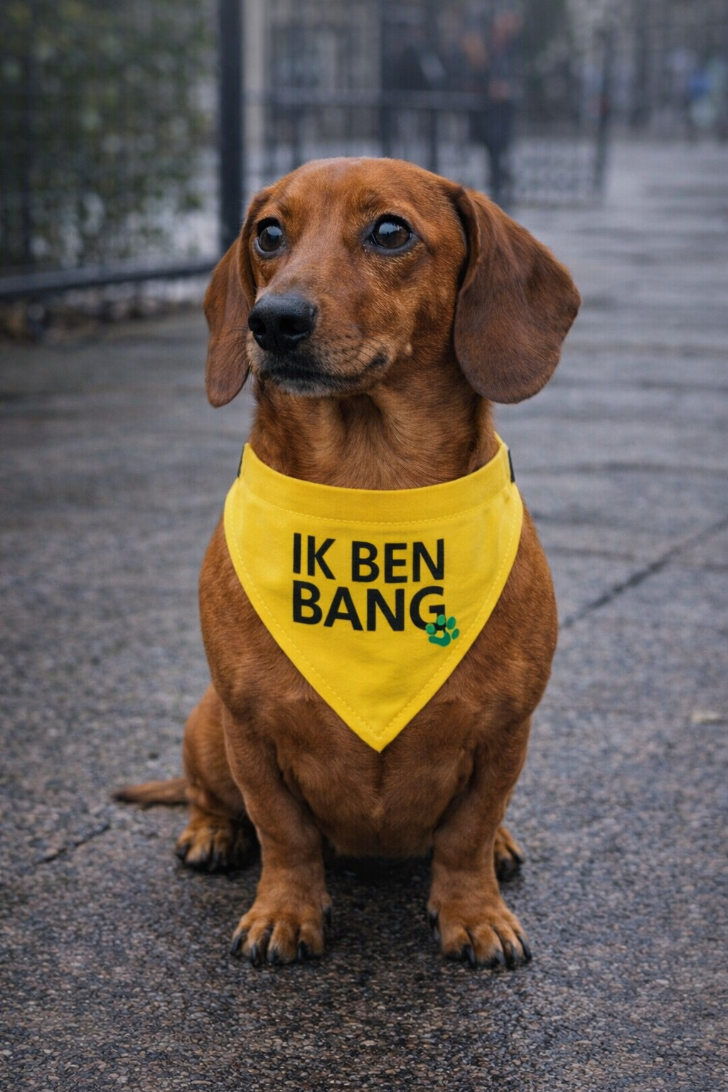 Gele halsband bandana - Ik ben bang